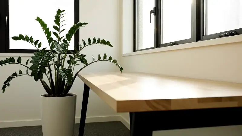 Standbild aus dem Video „Start“